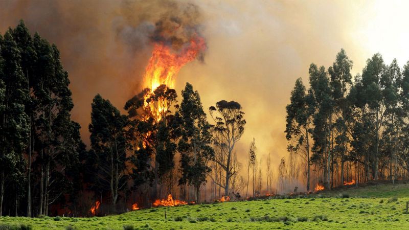 Boletines RNE - En Asturias todavía hay 13 fuegos activos aunque la lluvia puede ayudar a su extinción - Escuchar ahora