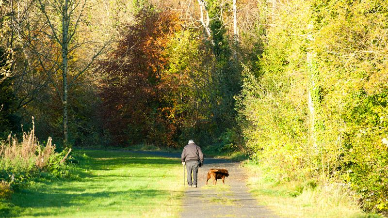 Escapadas - Día Internacional de los Bosques - 21/03/19 - Escuchar ahora