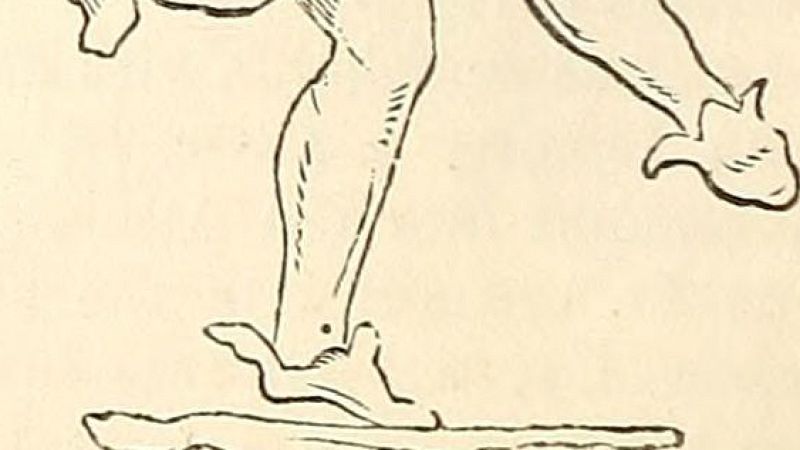 No es un día cualquiera - Hacerse el tonto