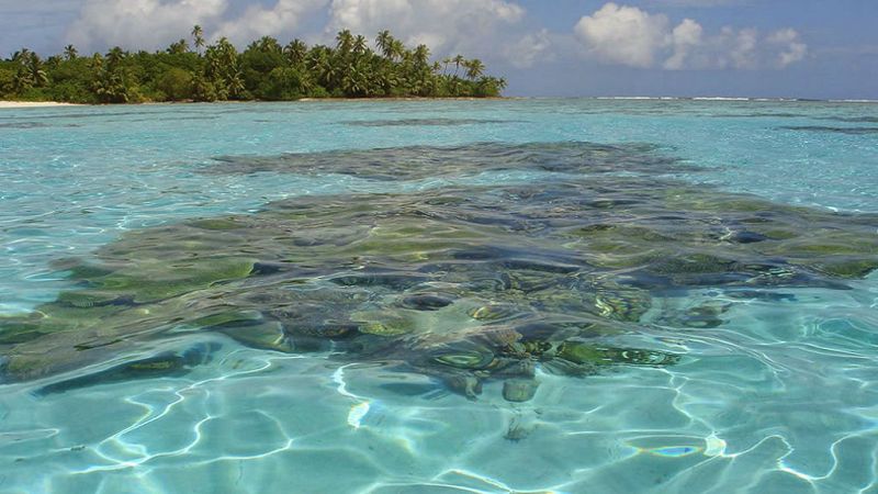 Todo Noticias - Mañana - El Reino Unido tendrá que descolonizar el archipiélago de Chagos
