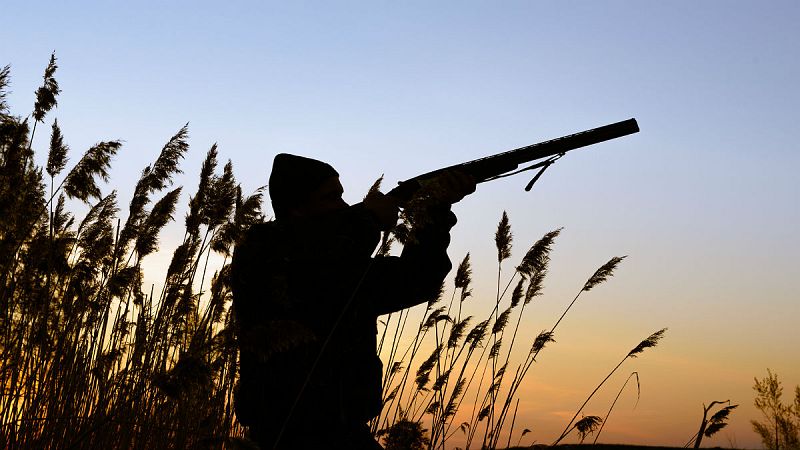 24 horas - Castilla y León modifica la ley para blindar la caza - Escuchar ahora