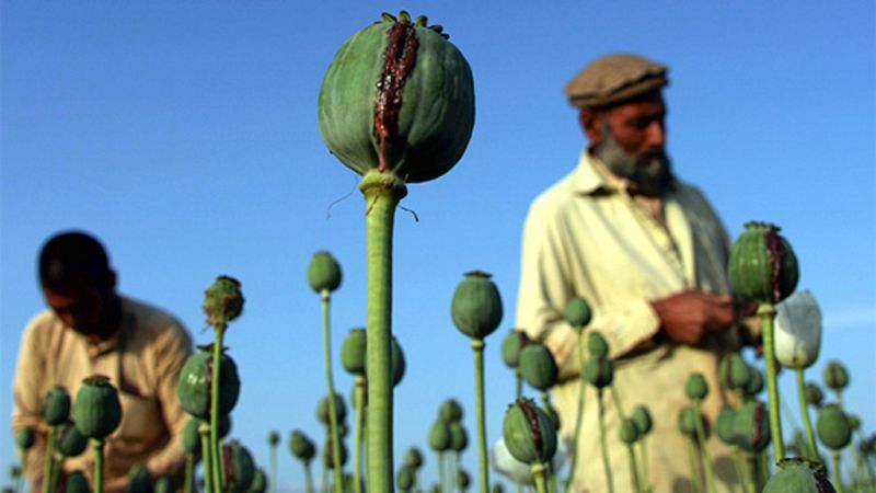 Opio - Javier Sanz - "Historias de la Historia"