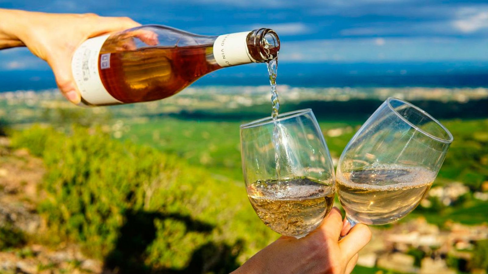 Agro 5 - El sector vitivinícola pisa fuerte - 13/04/19 - Escuchar ahora