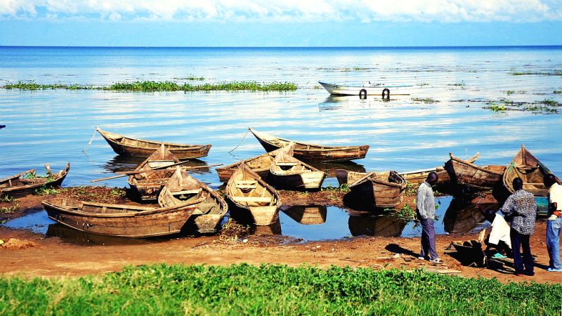 N�madas - Uganda, tesoro natural - 28/04/19 - Escuchar ahora