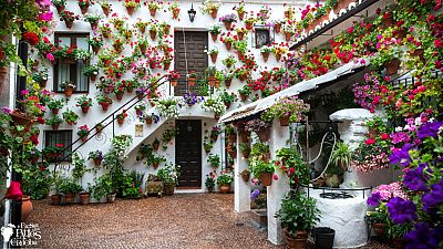 Boletines RNE - Los patios de C�rdoba vuelven a abrir sus puertas - Escuchar ahora