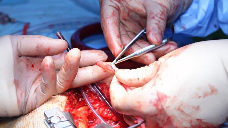 Las mañanas de RNE con Íñigo Alfonso - Eva, trasplantada de hígado: "Si no hubiera sido por la Seguridad Social, no estaría aquí" - Escuchar ahora