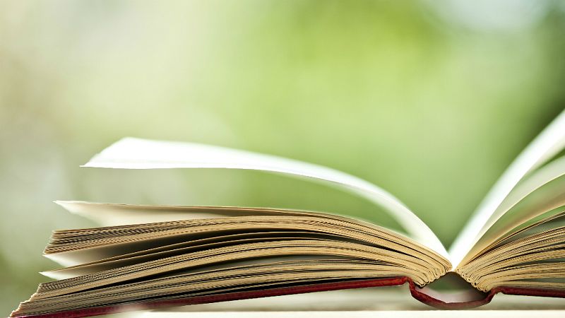 Libros de arena - Donna Leon y 'En el nombre del hijo' - 15/05/19 - Escuchar ahora