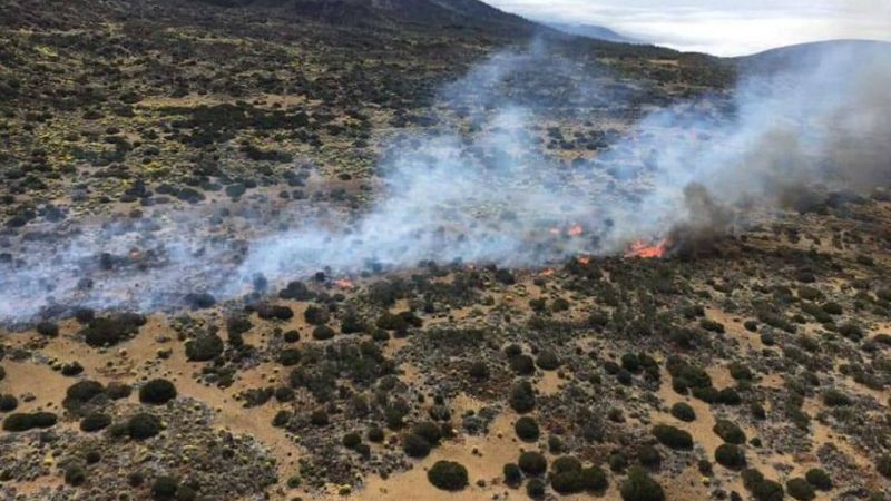 Las mañanas de RNE con Íñigo Alfonso - Los equipos de extinción pendientes del incendio del Teide