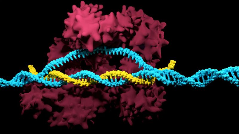 Destellos de la ciencia - Patentar el crisp-cas - 25/05/19 - Escuchar ahora