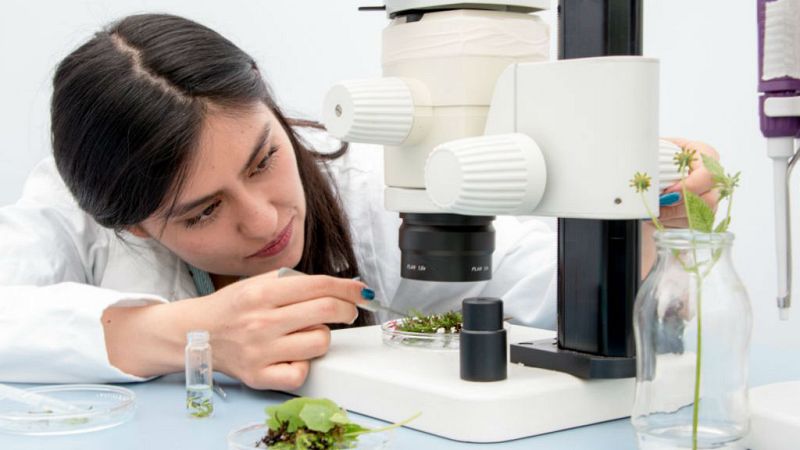 Punto de enlace - "Por qué tan pocas. Científicas y tecnólogas españolas a la luz" - 1/06/19 - Escuchar ahora