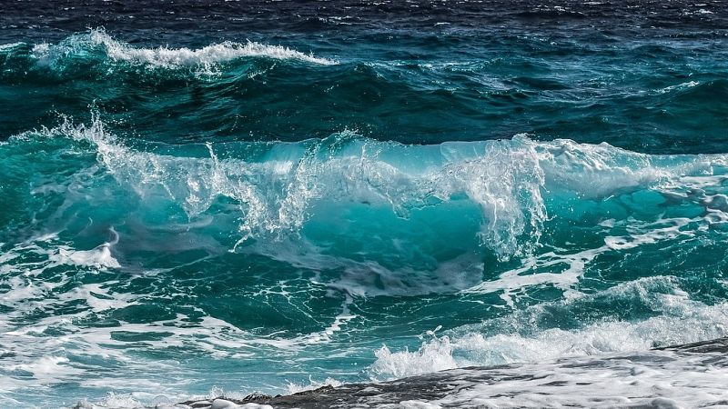 Todo Noticias - Tarde - Deberes para el Día de los Océanos