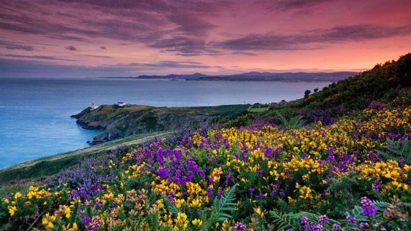 El contexto - Danny Boy - 30/06/19 - Escuchar ahora