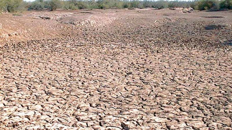 Agro 5 - Alerta amarilla, sequía agronómica - 29/06/19 - Escuchar ahora