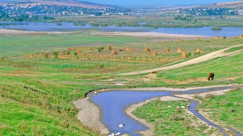 El palabrero - El río negro - 6/7/19 - Escuchar ahora