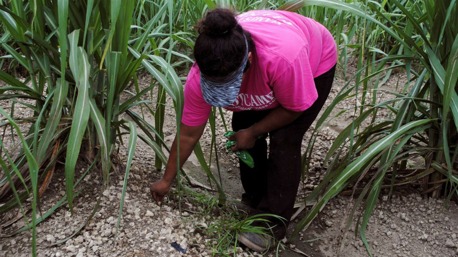 24 horas - 20 horas fin de semana - Autoridades de EEUU defienden redadas antiinmigrantes, sin confirmar inicio - Escuchar ahora