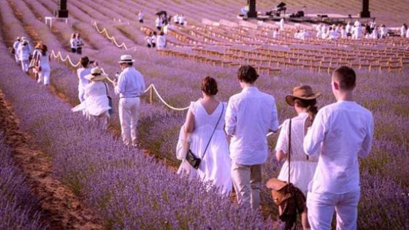 En clave Turismo - Festival de la Lavanda en Brihuega - 16/07/19