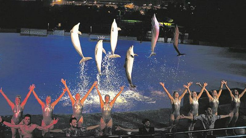 Españoles en la mar en Radio 5 - Las noches del Oceanográfico de Valencia - 18/07/19 - Escuchar ahora
