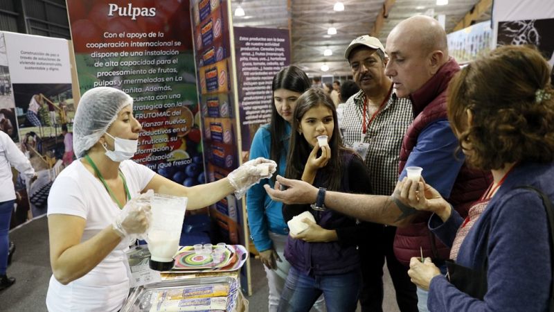 Cinco Continentes - En Colombia, la vida después de la guerrilla