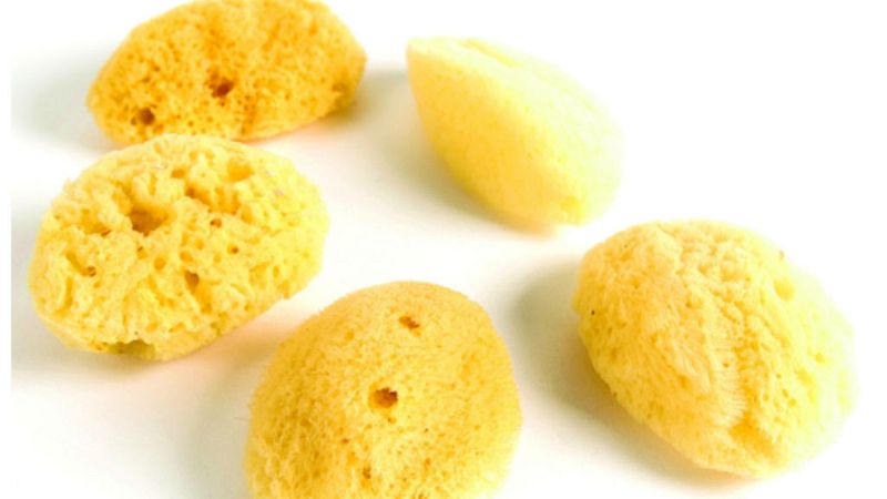 Contando cuentos - Esponjas - 21/07/19 - Escuchar ahora