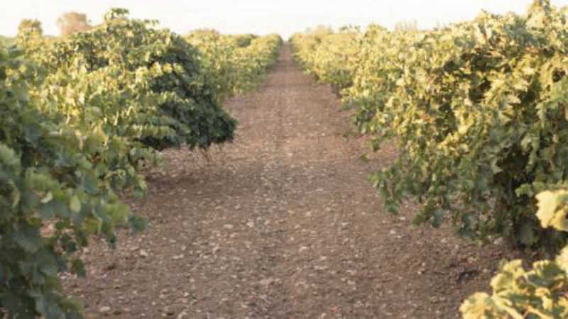 Con nombre propio - DOP Uclés - 23/07/19 - Escuchar ahora