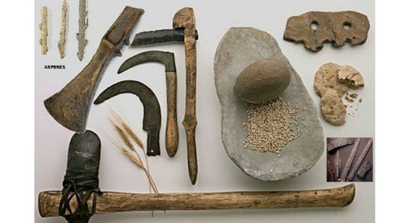 Preguntas a la historia - ¿Cuáles furon los primeros utensilios culinarios? - 04/08/19 - Escuchar ahora