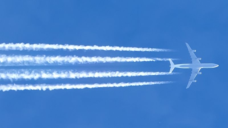 Todo Noticias Tarde - La vergüenza a volar
