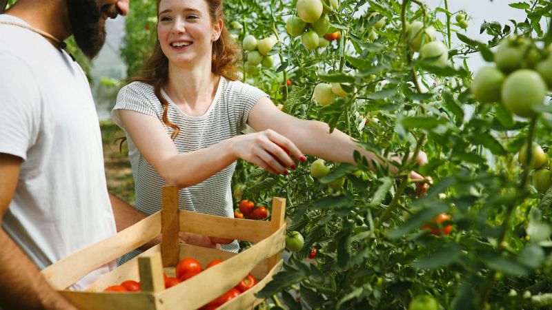 14 horas - Proyectos sociales, el camino de los jóvenes para encontrar empleo - escuchar ahora