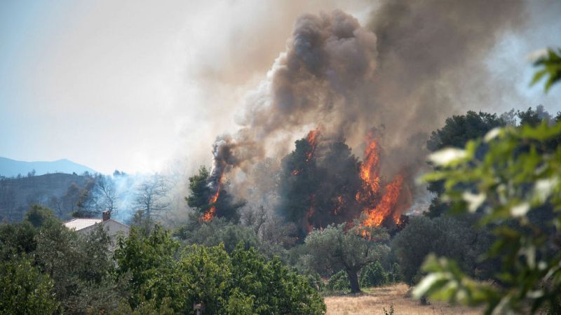 24 horas - "Más del 90 % de los incendios se deben a la acción del hombre" - Escuchar ahora