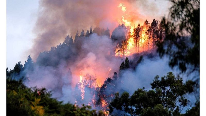 24 horas fin de semana - 20 horas - Evacúan el casco urbano de Tejeda por el incendio declarado en Valleseco - Escuchar ahora