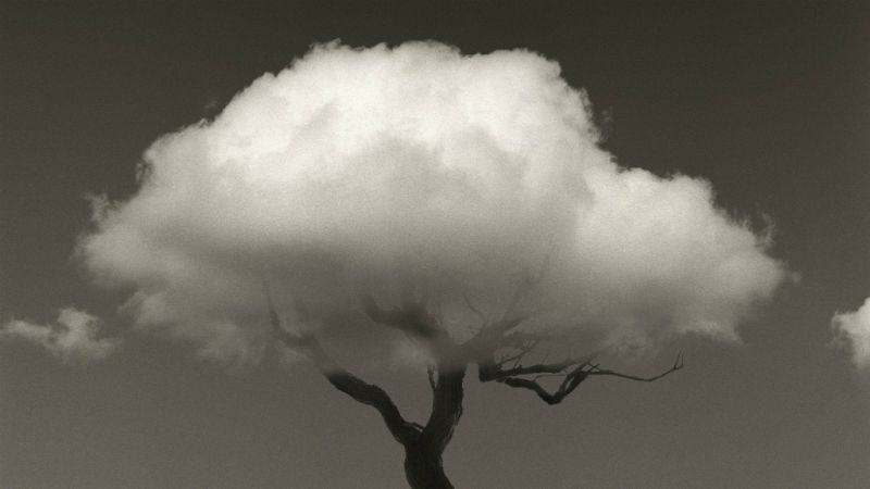 Las mañanas de RNE con Íñigo Alfonso - Fotografías para celebrar su Día Mundial - Escuchar ahora