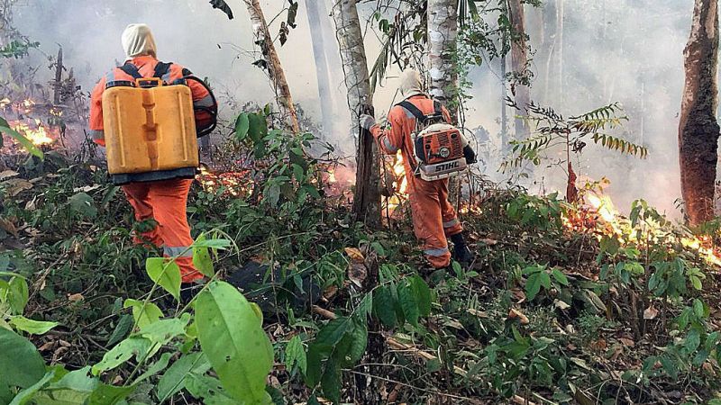 Todo Noticias - Mañana - La selva amazónica, una de los pulmones del planeta, sigue ardiendo