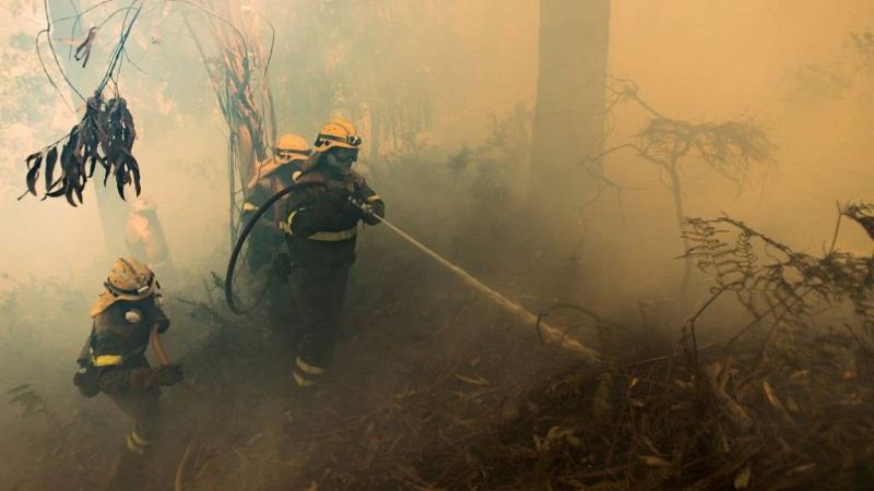 Cientos hectáreas arrasadas por el fuego en Galicia | Escuchar