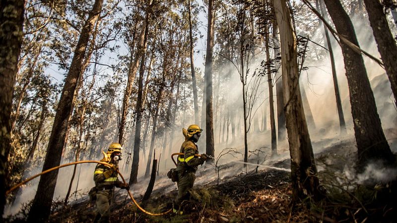Las mañanas de RNE con Íñigo Alfonso - La Xunta de Galicia pide colaboración ciudadana para detener a los incendiarios - Escuchar ahora
