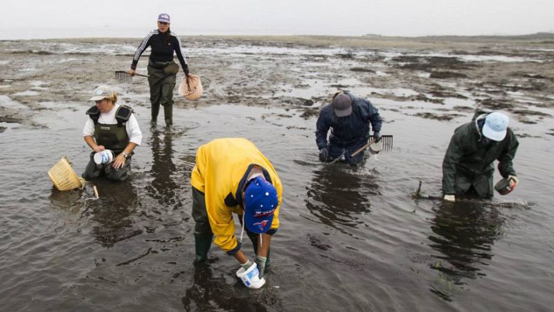 Sin género de duda - Anmupesca: Asociación Nacional de Mujeres de la Pesca - 22/09/19 - escuchar ahora