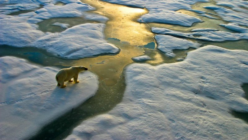 Todo Noticias Tarde - Los españoles ante el cambio climático - Escuchar ahora