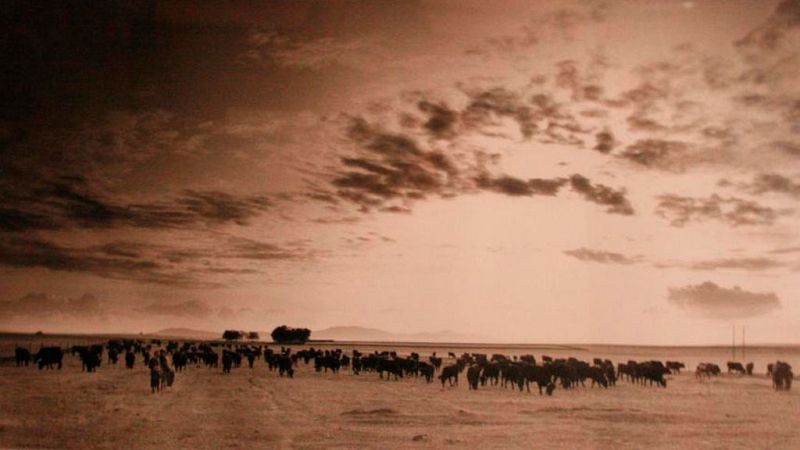 Las mañanas de RNE con Íñigo Alfonso - Empezamos el día con... Fotografía - Escuchar ahora