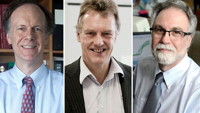 Las mañanas de RNE con Íñigo Alfonso - Los descubrimientos de los tres científicos premiados con el Nobel de Medicina - Escuchar ahora