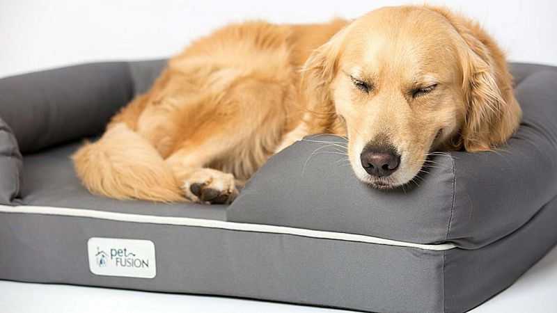 El arca de Noé - Su descanso - 19/10/19 - Escuchar ahora