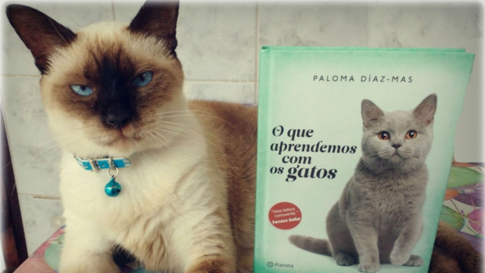 Juntos paso a paso - 19/10/19 - escuchar ahora