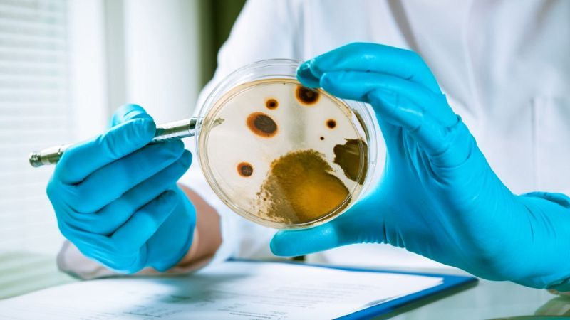 Todo Noticias Mañana - Facua denuncia falta de información ante un brote de listeriosis en Alemania - Escuchar ahora