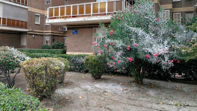 Las mañanas de RNE con Íñigo Alfonso - Este jueves veremos el anuncio de la Lotería de Navidad - Escuchar ahora