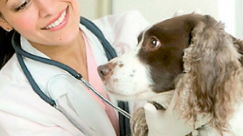 El arca de Noé - Comer y beber de la calle - 16/11/19 - Escuchar ahora