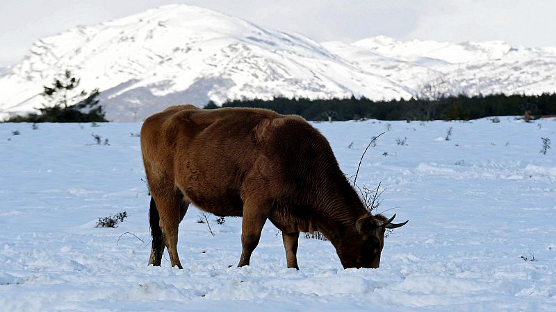 14 horas - 40 provincias con avisos por el mal tiempo - Escuchar ahora