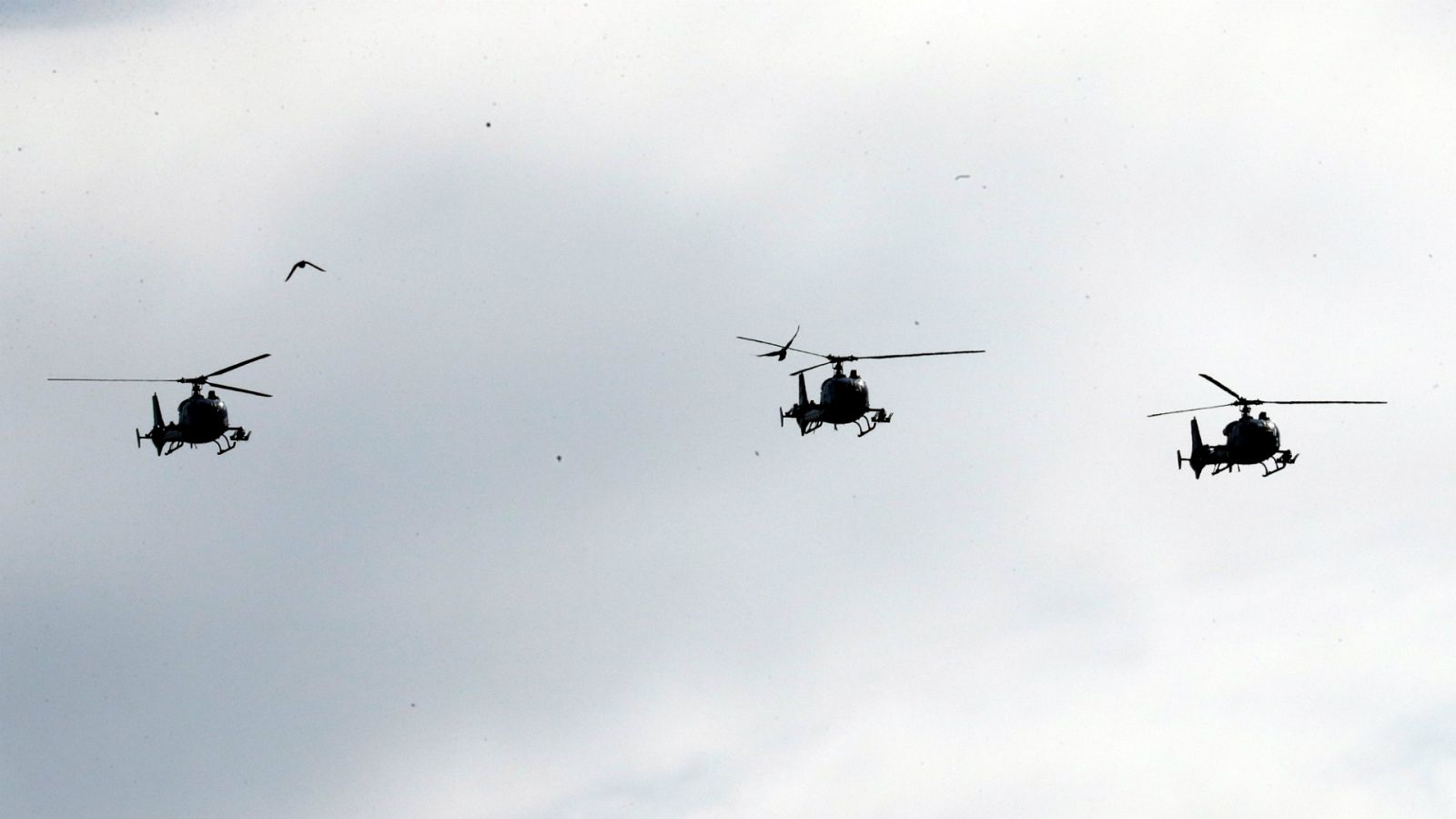 Boletines RNE - 13 militares franceses muertos en una operación en Malí - Escuchar ahora