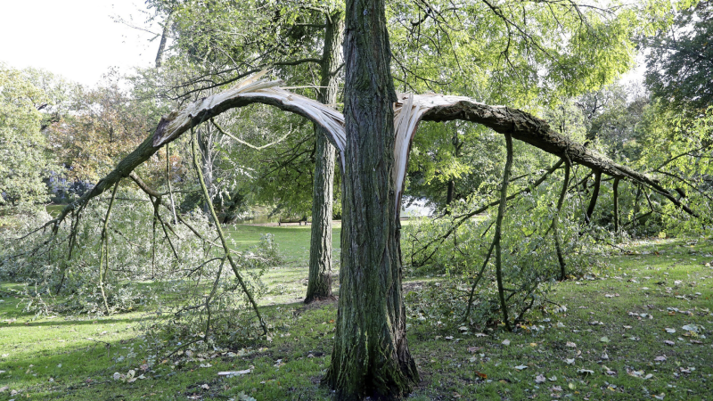 Alemania, vulnerable ante los desastres naturalesdos por el cambio climático - escuchar ahora