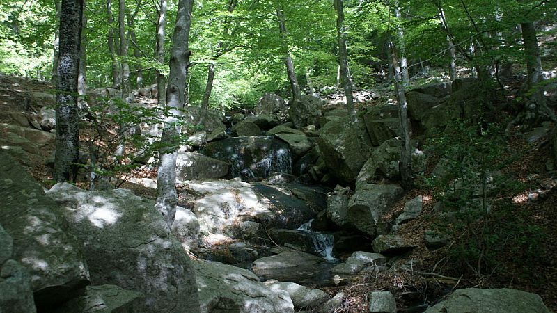 Caminantes - Lumbreras y sus aldeas - 14/12/19 - Escuchar ahora