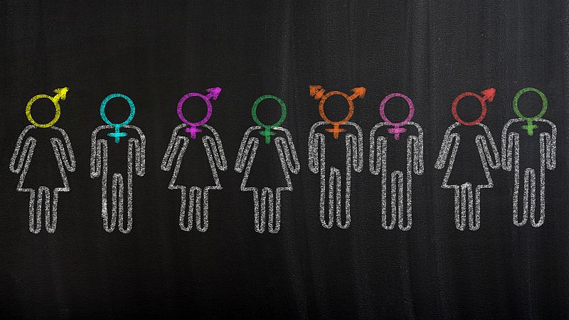 Para que veas - Discapacidad y diversidad de género - 17/12/19