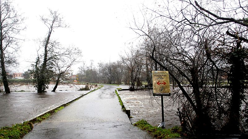 Boletines RNE -  'Elsa' pone en alerta a casi toda España por lluvias, viento y fuerte oleaje - Escuchar ahora
