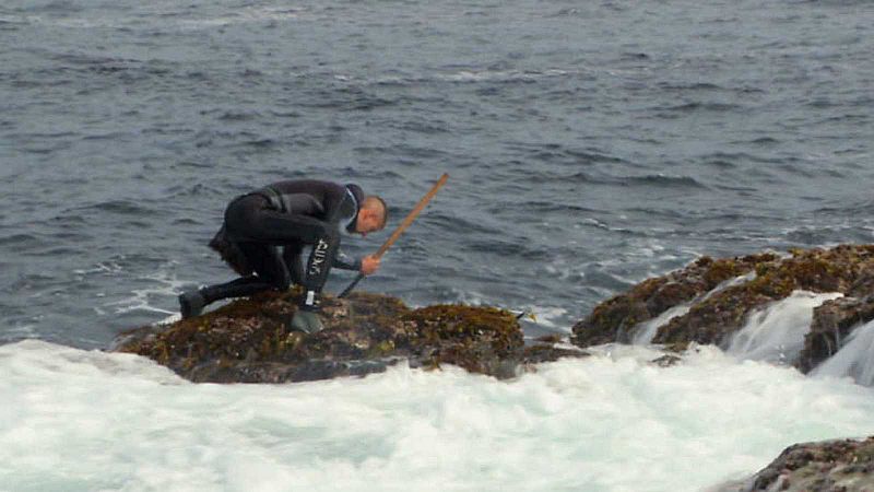 Españoles en la mar - Los percebeiros y la lucha contra las olas - 20/12/19 - escuchar ahora