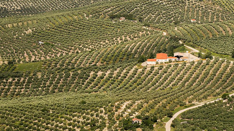 14 horas - Los aranceles en EE.UU. obligan a aparcar la 'Marca España' - Escuchar ahora
